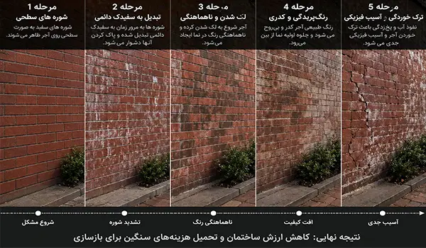 اگر به شوره و آلودگی توجه نکنیم چه اتفاقی می‌افتد؟
